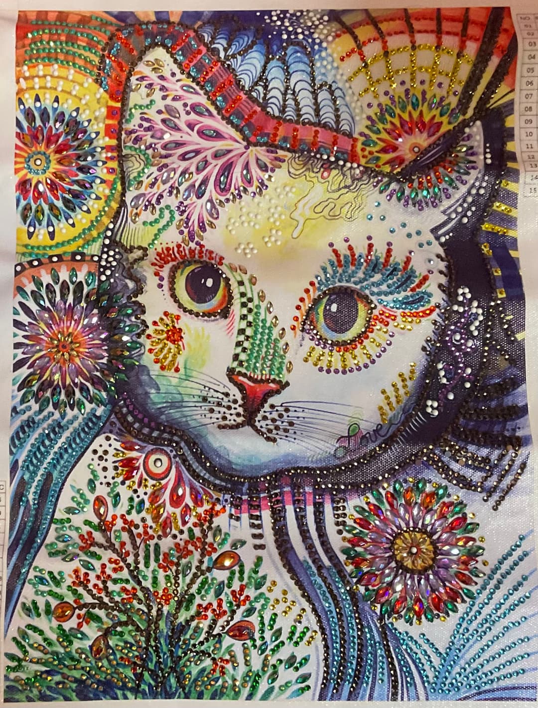 Kitty (Part/Special-Drills)