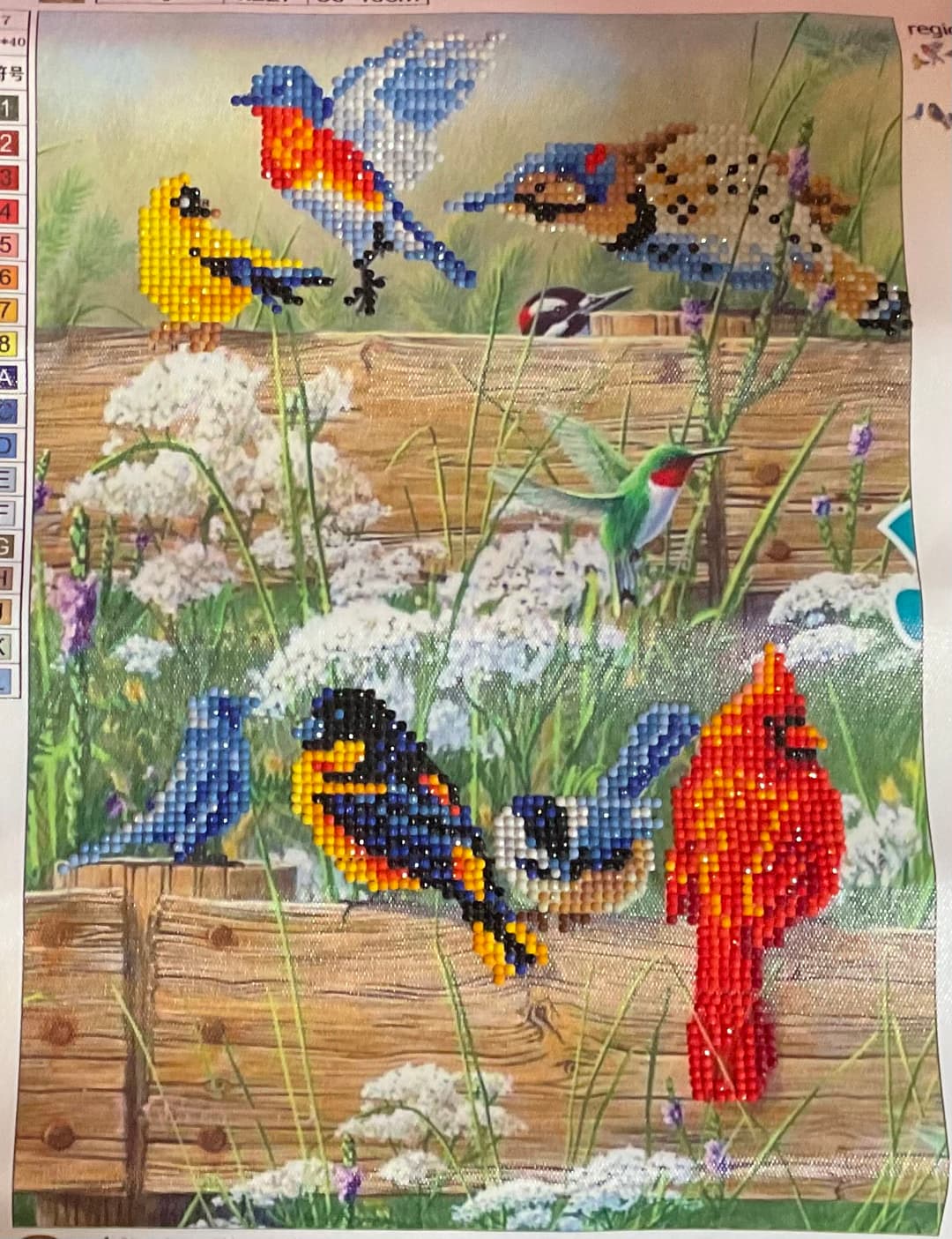 Garden Birds (Part-Drill)