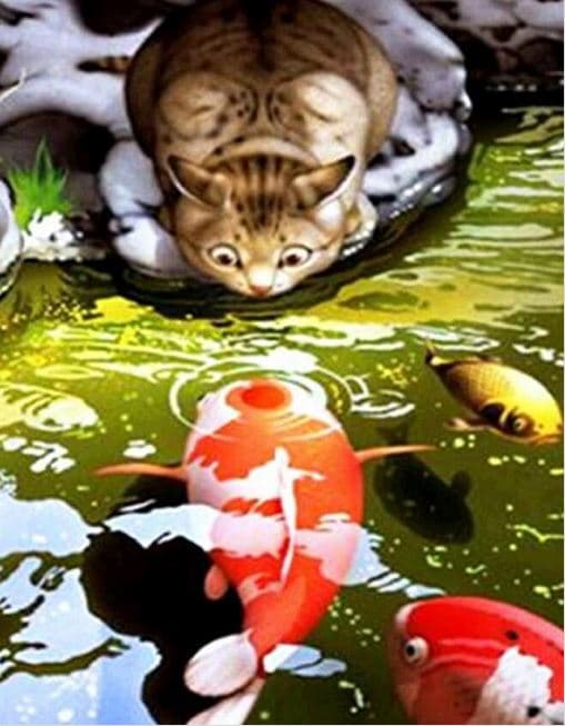 Cat & Koi