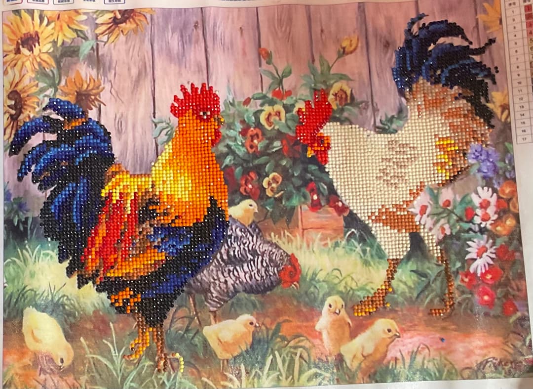 Chicken Family